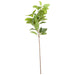 Laurel Leaf Spray