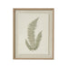Fern Art On Texture-Torn Paper With Beaded Frame