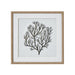 Atol Coral Art Mounted In Beaded Frame