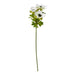 White Anemone Spray