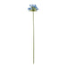 Blue Agapanthus Stem