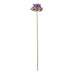 Lilac Agapanthus Spray