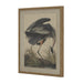 Flora & Fauna Collection Heron On Linen In Beaded Frame