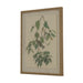 Flora & Fauna Collection Warblers On Linen In Beaded Frame