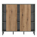 Darwin Sideboard 2 Door in Green/Oak