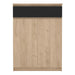 Naia Shoe Cabinet with 2 Doors 1 Drawer in Jackson Hickory Oak and Black