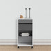 Function Plus Mobile File Cabinet 2 Drawers 1 Shelf