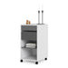 Function Plus Mobile File Cabinet 2 Drawers 1 Shelf
