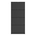 Shoes Shoe Cabinet 4 Flip Down Doors and 2 layers in Matt Black
