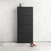 Shoes Shoe Cabinet 4 Flip Down Doors and 2 layers in Matt Black