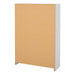 Shoes Shoe Cabinet 2 Flip Down Doors + 1 Drawer in White