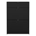 Shoes Shoe Cabinet 2 Flip Down Doors + 1 Drawer in Matt Black
