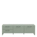 Sali 2 Door 2 Drawer TV Unit in Sage Green