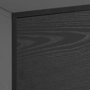 Seaford 2 Door 1 Drawer TV Unit in Ash Black
