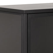 Newcastle Low 2 Door Display Cabinet in Matt Black