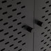 Newcastle 2 Door Cabinet in Matt Black