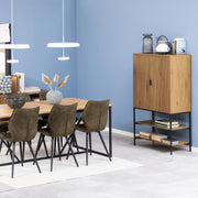 Jaipur Cabinet with 2 Doors in Wild Oak