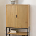 Jaipur Cabinet with 2 Doors in Wild Oak