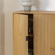 Jaipur Cabinet with 2 Doors in Wild Oak