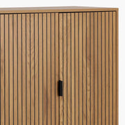 Jaipur Cabinet with 2 Doors in Wild Oak