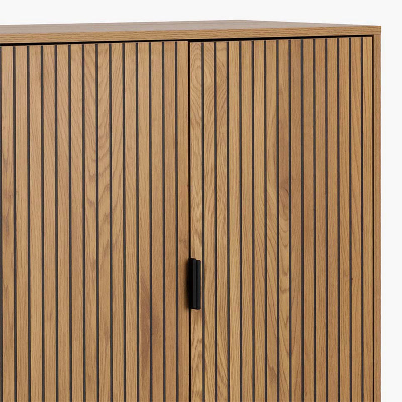 Jaipur Cabinet with 2 Doors in Wild Oak