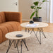 Prunus Round Coffee Table in Matt Beige and Matt Black Coated Steel Base 80x46.4cm